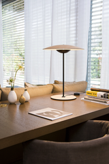 led ginger table lamp