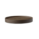 ce tray