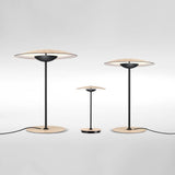 led ginger table lamp