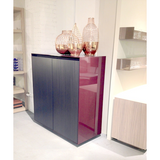 cecchini two door cabinet
