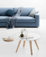 classic two-piece sofa